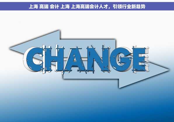 上海 高端 会计 上海 上海高端会计人才，引领行业新趋势