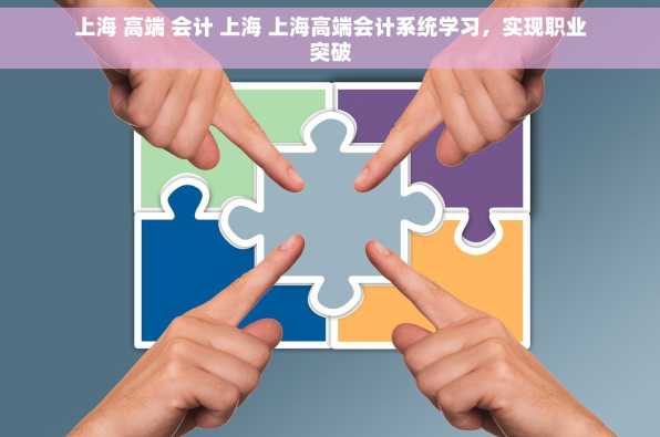 上海 高端 会计 上海 上海高端会计系统学习，实现职业突破