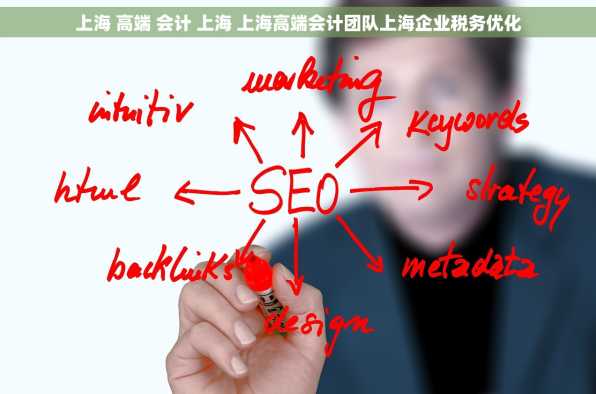 上海 高端 会计 上海 上海高端会计团队上海企业税务优化