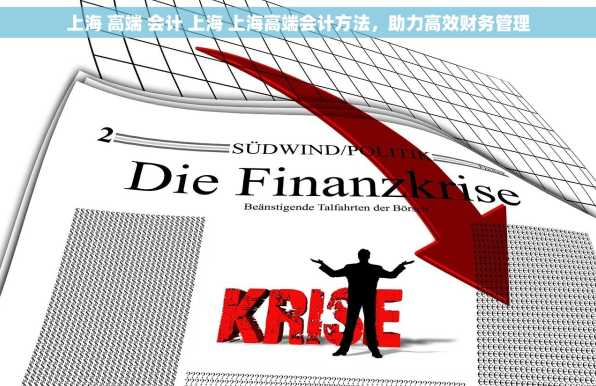 上海 高端 会计 上海 上海高端会计方法，助力高效财务管理