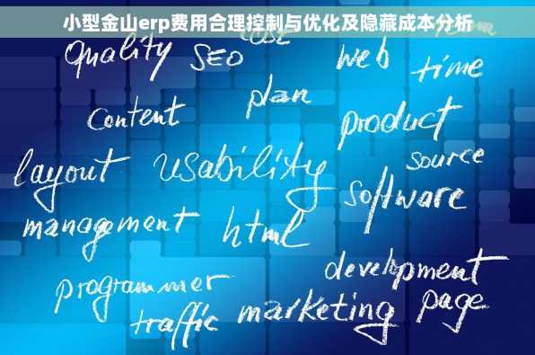 小型金山erp费用合理控制与优化及隐藏成本分析