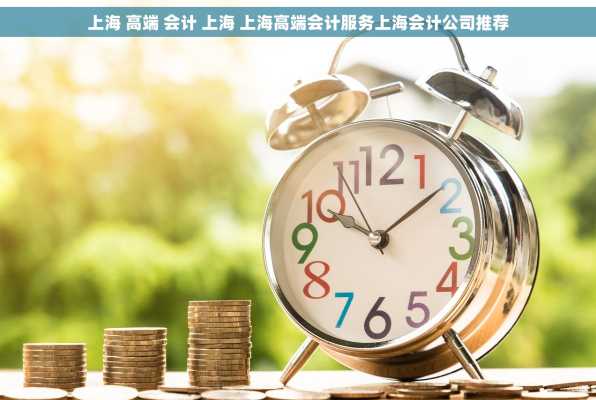 上海 高端 会计 上海 上海高端会计服务上海会计公司推荐