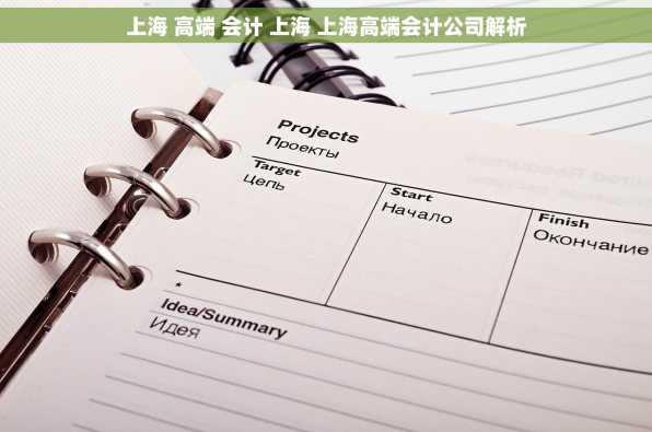 上海 高端 会计 上海 上海高端会计公司解析