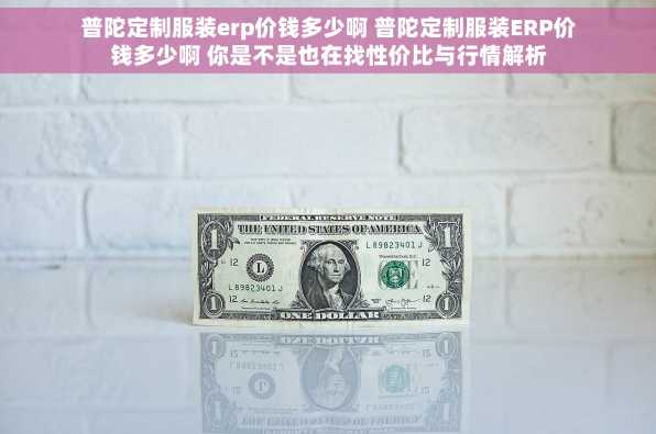普陀定制服装erp价钱多少啊 普陀定制服装ERP价钱多少啊 你是不是也在找性价比与行情解析