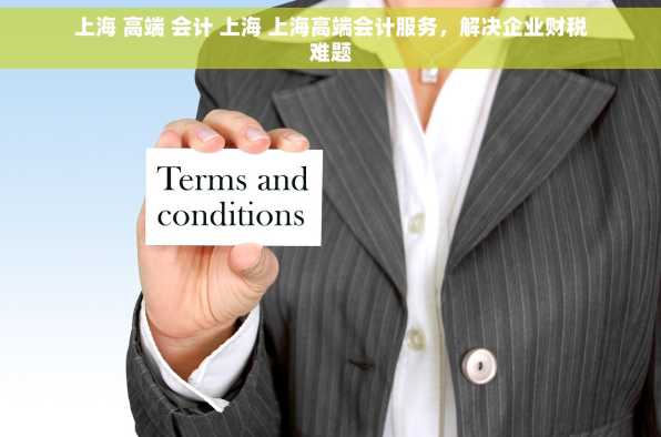 上海 高端 会计 上海 上海高端会计服务，解决企业财税难题