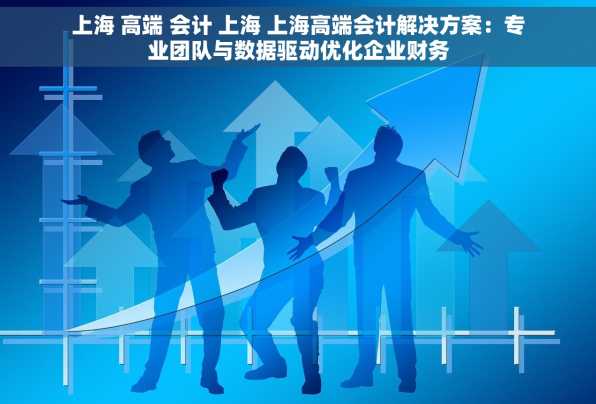 上海 高端 会计 上海 上海高端会计解决方案：专业团队与数据驱动优化企业财务