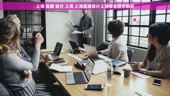 上海 高端 会计 上海 上海高端会计上海专业服务解析