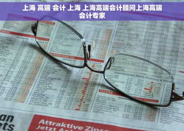 上海 高端 会计 上海 上海高端会计顾问上海高端会计专家