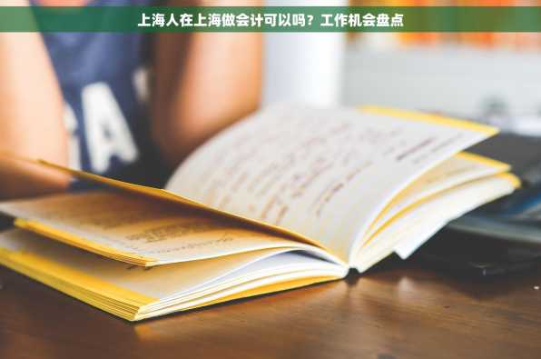 上海人在上海做会计可以吗？工作机会盘点
