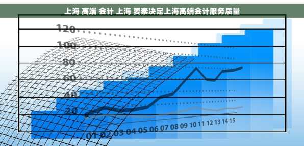 上海 高端 会计 上海 要素决定上海高端会计服务质量