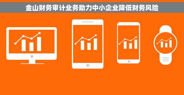 金山财务审计业务助力中小企业降低财务风险