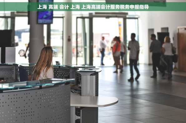 上海 高端 会计 上海 上海高端会计服务税务申报指导
