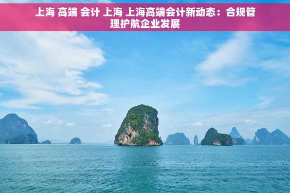 上海 高端 会计 上海 上海高端会计新动态：合规管理护航企业发展