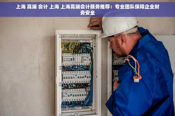 上海 高端 会计 上海 上海高端会计服务推荐：专业团队保障企业财务安全