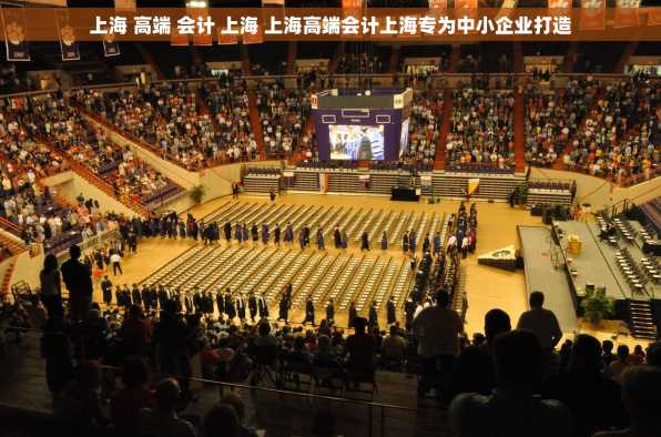 上海 高端 会计 上海 上海高端会计上海专为中小企业打造