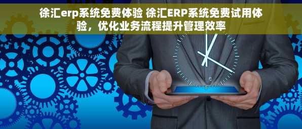 徐汇erp系统免费体验 徐汇ERP系统免费试用体验，优化业务流程提升管理效率