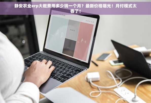 静安农业erp大概费用多少钱一个月？最新价格曝光！月付模式太香了！