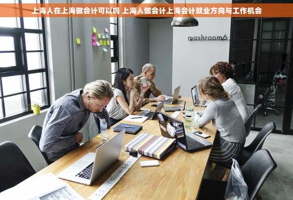 上海人在上海做会计可以吗 上海人做会计上海会计就业方向与工作机会