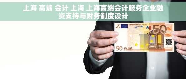 上海 高端 会计 上海 上海高端会计服务企业融资支持与财务制度设计