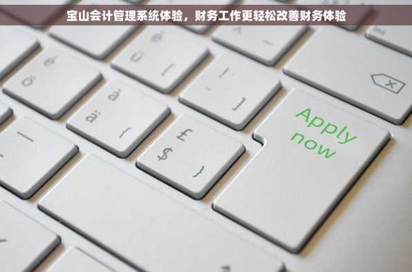 宝山会计管理系统体验，财务工作更轻松改善财务体验