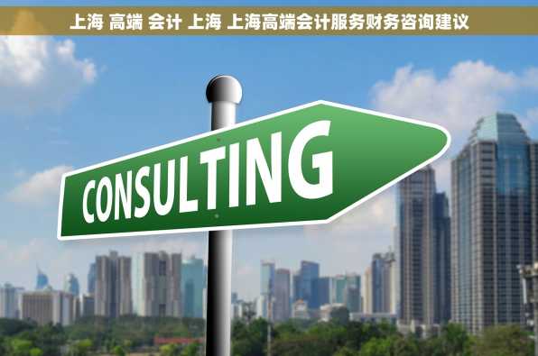 上海 高端 会计 上海 上海高端会计服务财务咨询建议