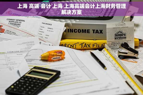 上海 高端 会计 上海 上海高端会计上海财务管理解决方案