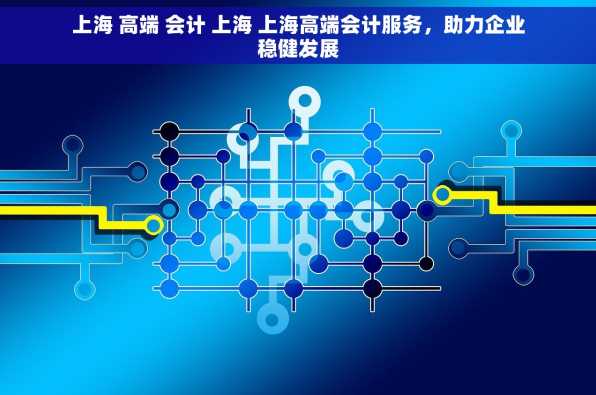 上海 高端 会计 上海 上海高端会计服务，助力企业稳健发展