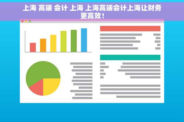 上海 高端 会计 上海 上海高端会计上海让财务更高效！