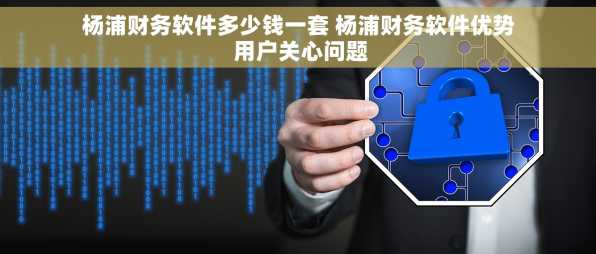 杨浦财务软件多少钱一套 杨浦财务软件优势 用户关心问题