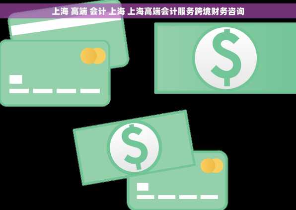 上海 高端 会计 上海 上海高端会计服务跨境财务咨询