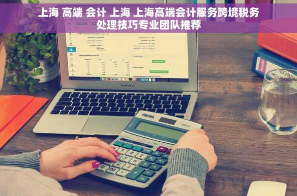 上海 高端 会计 上海 上海高端会计服务跨境税务处理技巧专业团队推荐