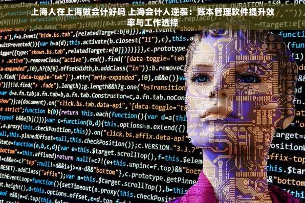 上海人在上海做会计好吗 上海会计人逆袭：账本管理软件提升效率与工作选择