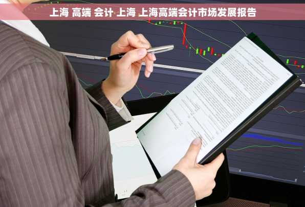 上海 高端 会计 上海 上海高端会计市场发展报告