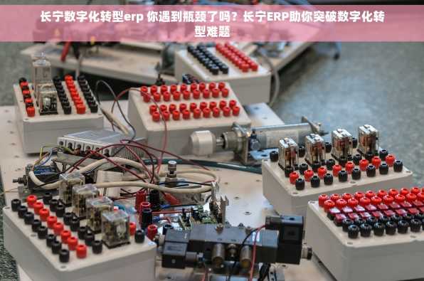 长宁数字化转型erp 你遇到瓶颈了吗？长宁ERP助你突破数字化转型难题
