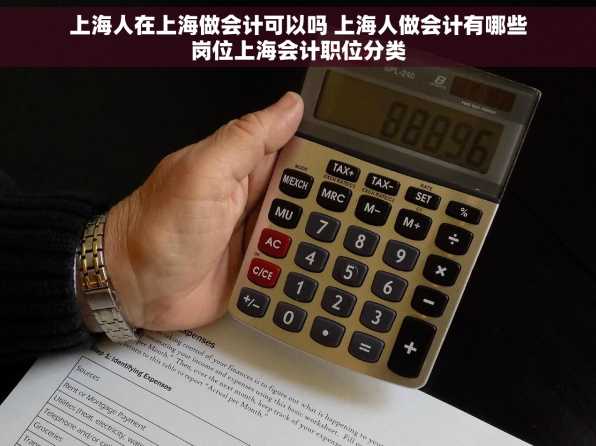 上海人在上海做会计可以吗 上海人做会计有哪些岗位上海会计职位分类