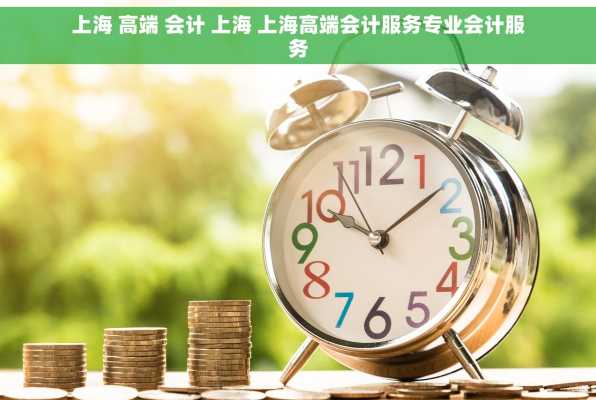 上海 高端 会计 上海 上海高端会计服务专业会计服务
