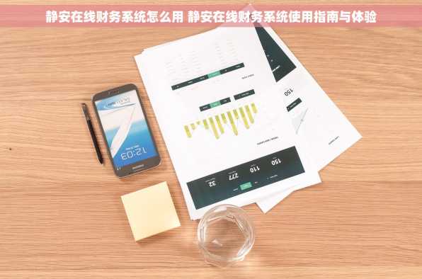 静安在线财务系统怎么用 静安在线财务系统使用指南与体验