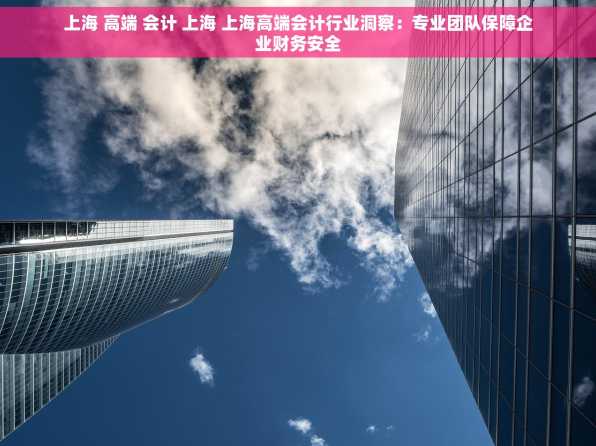 上海 高端 会计 上海 上海高端会计行业洞察：专业团队保障企业财务安全