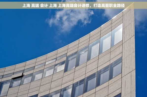上海 高端 会计 上海 上海高端会计进修，打造高薪职业路径