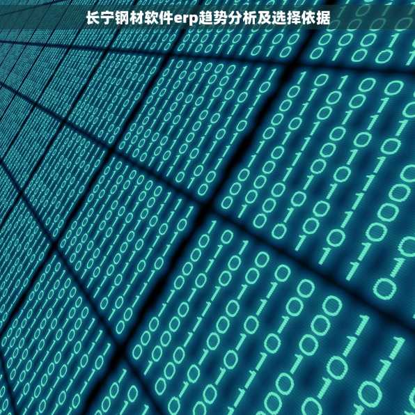 长宁钢材软件erp趋势分析及选择依据