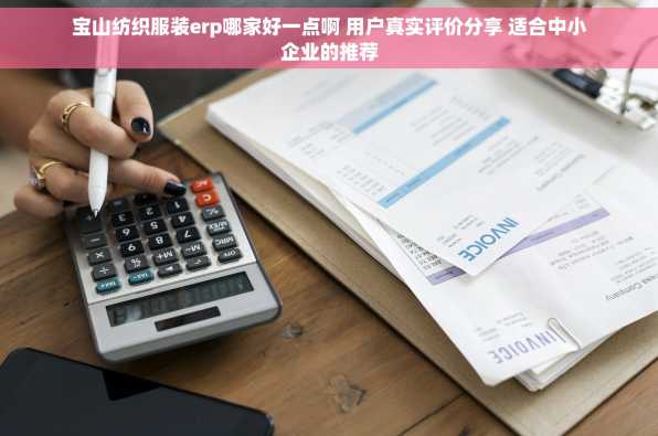 宝山纺织服装erp哪家好一点啊 用户真实评价分享 适合中小企业的推荐