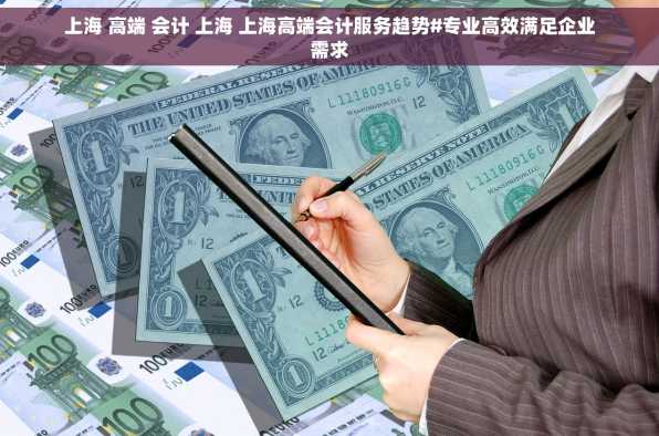 上海 高端 会计 上海 上海高端会计服务趋势#专业高效满足企业需求