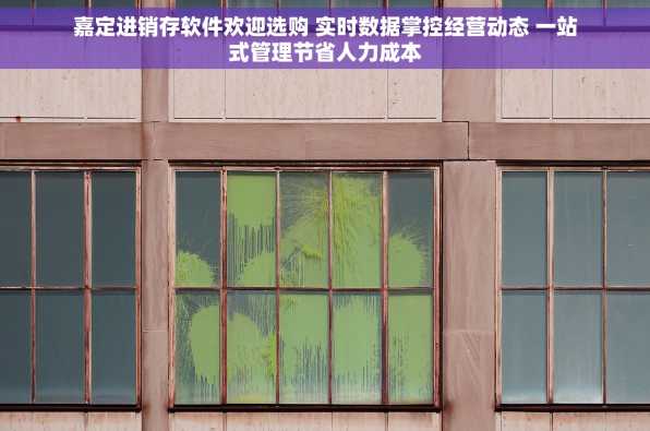 嘉定进销存软件欢迎选购 实时数据掌控经营动态 一站式管理节省人力成本