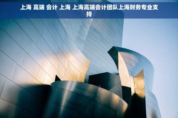 上海 高端 会计 上海 上海高端会计团队上海财务专业支持