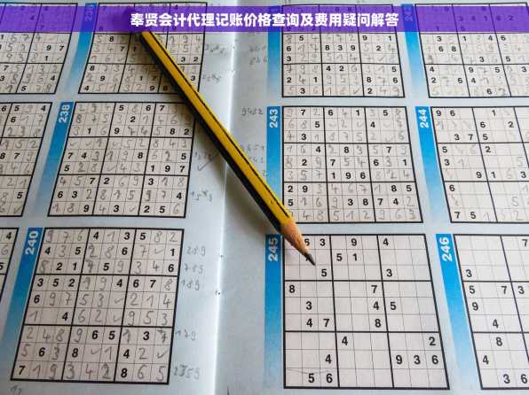 奉贤会计代理记账价格查询及费用疑问解答