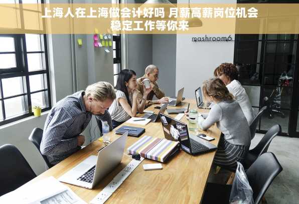上海人在上海做会计好吗 月薪高薪岗位机会稳定工作等你来