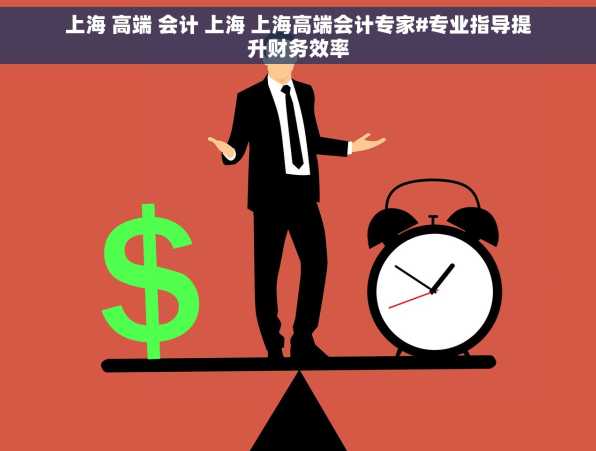 上海 高端 会计 上海 上海高端会计专家#专业指导提升财务效率