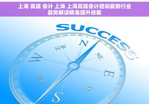 上海 高端 会计 上海 上海高端会计培训最新行业趋势解读精准提升技能