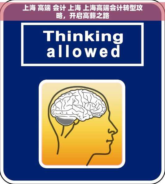 上海 高端 会计 上海 上海高端会计转型攻略，开启高薪之路