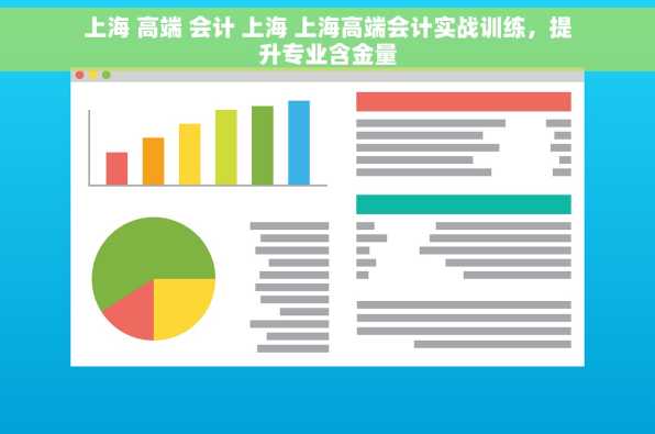 上海 高端 会计 上海 上海高端会计实战训练，提升专业含金量